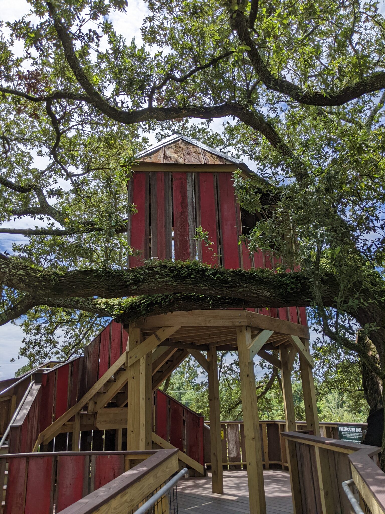 moncus-park-opens-the-savoy-family-treehouse-moncus-park