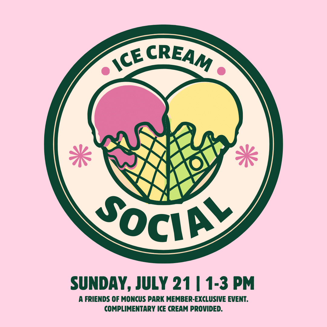 Picture of ice cream cones with information that reads ice cream social on july 21 at 1:00 pm