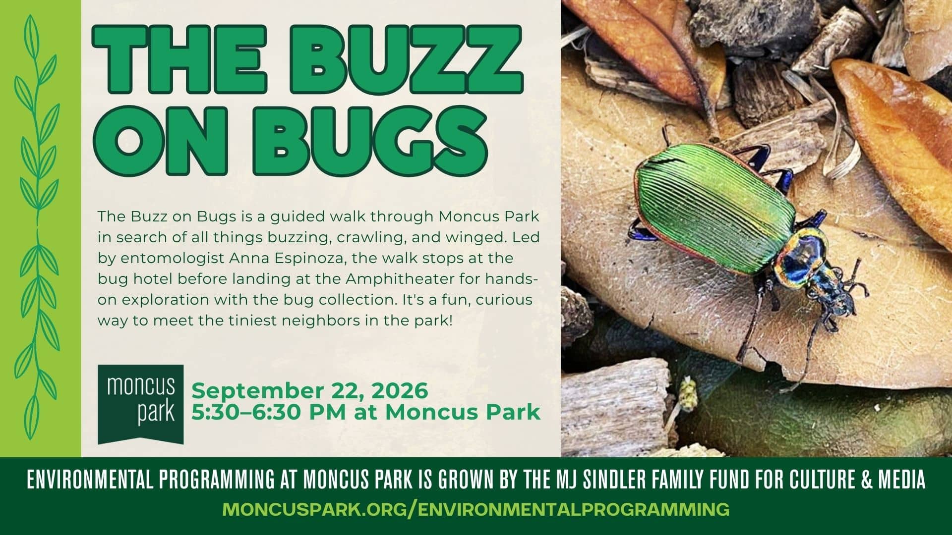 Event flyer for "The Buzz on Bugs" at Moncus Park. Text reads: "The Buzz on Bugs is a guided walk through Moncus Park in search of all things buzzing, crawling, and winged. Led by entomologist Anna Espinoza, the walk stops at the bug hotel before landing at the Amphitheater for hands-on exploration with the bug collection. It's a fun, curious way to meet the tiniest neighbors in the park!" Event details: September 22, 2026, 5:30–6:30 PM at Moncus Park. A green leaf vine design runs along the left edge, and a close-up photo of an iridescent green beetle on dried leaves appears on the right. Footer reads: "Environmental programming at Moncus Park is grown by the MJ Sindler Family Fund for Culture & Media. moncuspark.org/environmentalprogramming