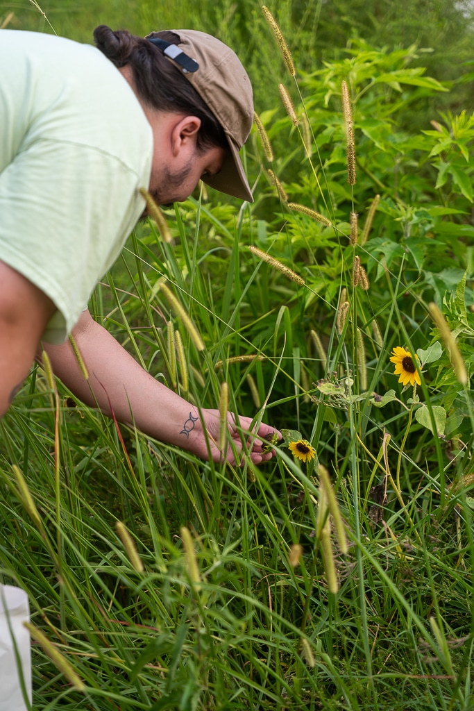 Guided nature walk at Moncus Park