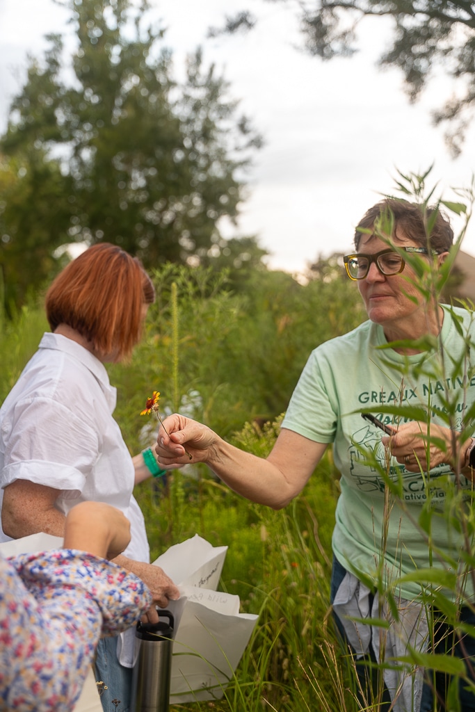 Volunteers collecting native seeds at Moncus Park